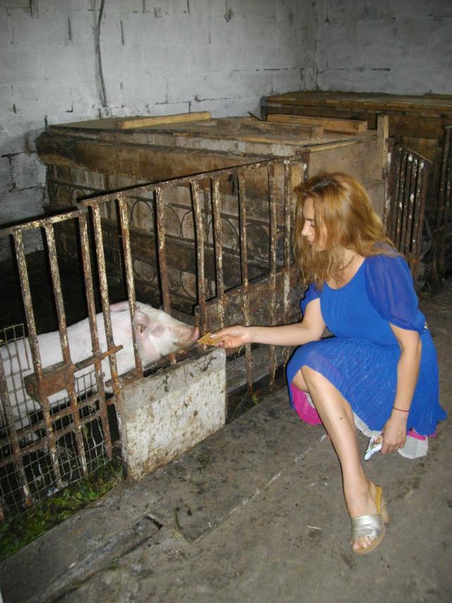 Фото 15 до новини Відвідування з гуманітарною допомогою реабілітаційного центру у селі Почуйки Житомирської області