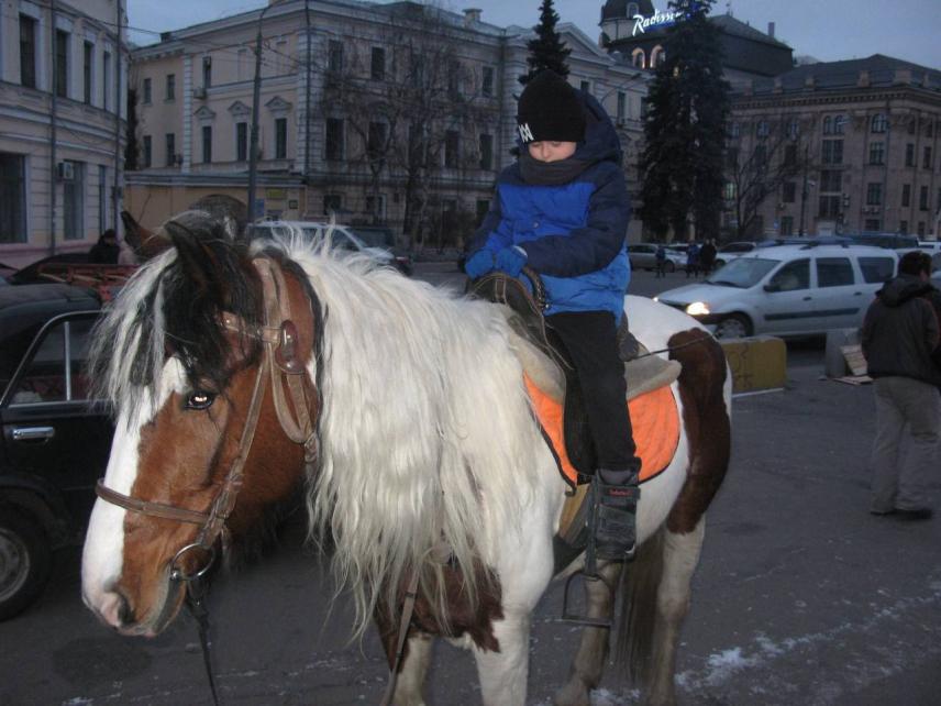 Фото 3 до новини Соціальна та гуманітарна допомога людям з обмеженими можливостями, влаштування дитячих заходів
