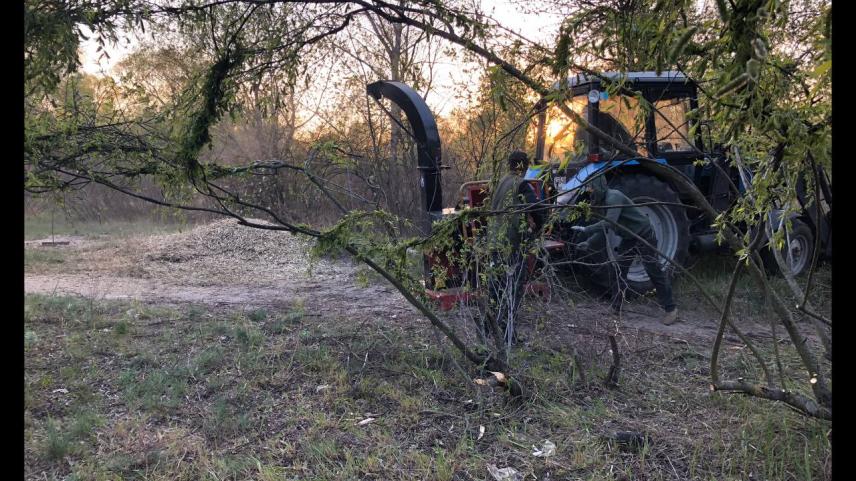 Фото 16 до новини Влаштування інноваційного екологічного парку «Територія Tesla»